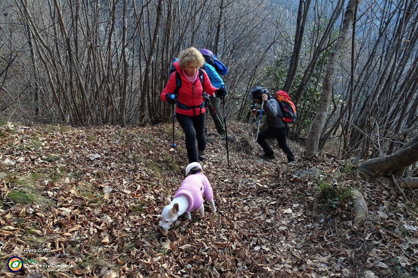 15 Bel sentiero in decisa salita nel bosco.JPG